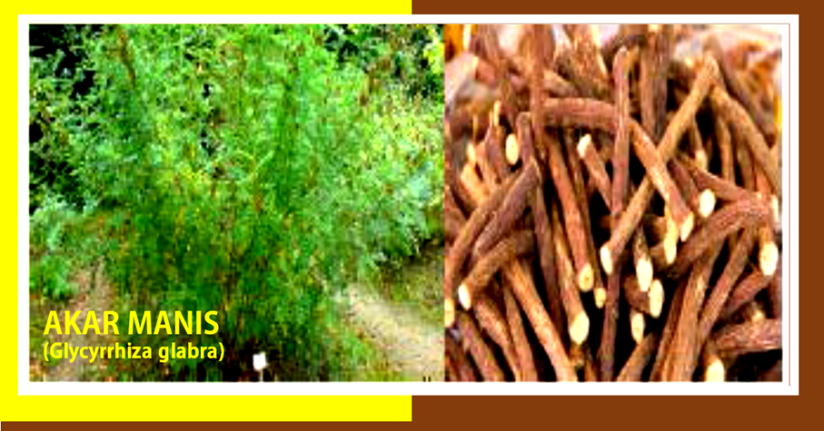 Khasiat Akar Manis Obati Batuk